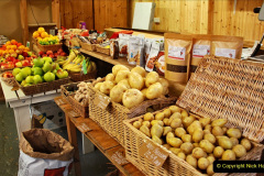 010.2023-11-20-Holme-Garden-Centre-Near-Wareham-Dorset-in-early-winter.-10-