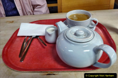 013.2023-11-20-Holme-Garden-Centre-Near-Wareham-Dorset-in-early-winter.-13-