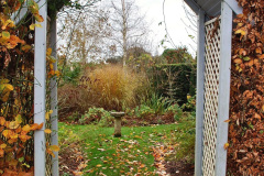 030.2023-11-20-Holme-Garden-Centre-Near-Wareham-Dorset-in-early-winter.-30-