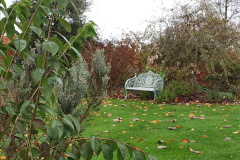 035.2023-11-20-Holme-Garden-Centre-Near-Wareham-Dorset-in-early-winter.-35-