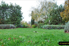 061.2023-11-20-Holme-Garden-Centre-Near-Wareham-Dorset-in-early-winter.-61-