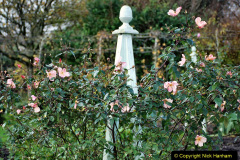 077.2023-11-20-Holme-Garden-Centre-Near-Wareham-Dorset-in-early-winter.-77-