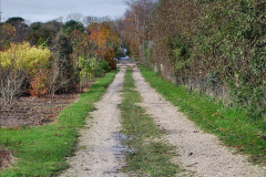 081.2023-11-20-Holme-Garden-Centre-Near-Wareham-Dorset-in-early-winter.-81-