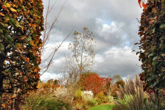 107.2023-11-20-Holme-Garden-Centre-Near-Wareham-Dorset-in-early-winter.-107-