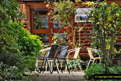 114.2023-11-20-Holme-Garden-Centre-Near-Wareham-Dorset-in-early-winter.-114-