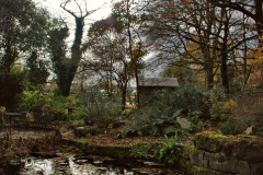 116.2023-11-20-Holme-Garden-Centre-Near-Wareham-Dorset-in-early-winter.-116-