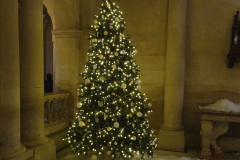 014.2023-11-28-Kingston-Lacy-NT-Wimborne-Dorset-at-Christmas.-14