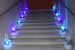 019.2023-11-28-Kingston-Lacy-NT-Wimborne-Dorset-at-Christmas.-19