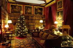 021.2023-11-28-Kingston-Lacy-NT-Wimborne-Dorset-at-Christmas.-21