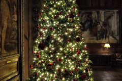 025.2023-11-28-Kingston-Lacy-NT-Wimborne-Dorset-at-Christmas.-25