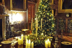030.2023-11-28-Kingston-Lacy-NT-Wimborne-Dorset-at-Christmas.-30
