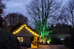 074.2023-11-28-Kingston-Lacy-NT-Wimborne-Dorset-at-Christmas.-74