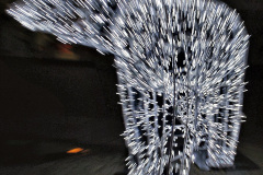 010.2023-11-29-Poole-Town-Quay-Christmas-Lights.-10-