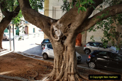 156.2023-10-10-Palermo-Sicily-Italy.-156-