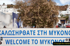 068.2023-10-14-Myknos-Greece.-Tender-Port.-68-