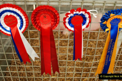 150.2023-09-03-Dorset-County-Show-Dorchester.-150-