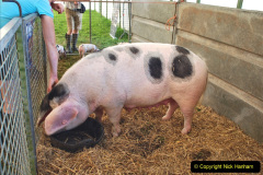 153.2023-09-03-Dorset-County-Show-Dorchester.-153-