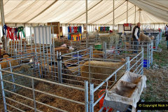 169.2023-09-03-Dorset-County-Show-Dorchester.-169-