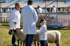 172.2023-09-03-Dorset-County-Show-Dorchester.-172-