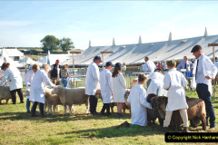 174.2023-09-03-Dorset-County-Show-Dorchester.-174-