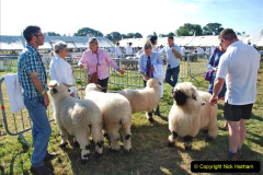 176.2023-09-03-Dorset-County-Show-Dorchester.-176-