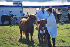 192.2023-09-03-Dorset-County-Show-Dorchester.-192-