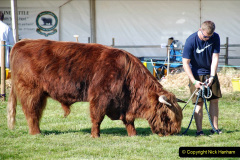 194.2023-09-03-Dorset-County-Show-Dorchester.-194-