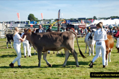 197.2023-09-03-Dorset-County-Show-Dorchester.-197-