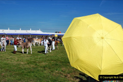198.2023-09-03-Dorset-County-Show-Dorchester.-198-