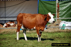 200.2023-09-03-Dorset-County-Show-Dorchester.-200-