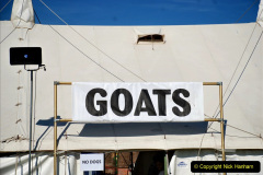 207.2023-09-03-Dorset-County-Show-Dorchester.-207-