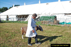 208.2023-09-03-Dorset-County-Show-Dorchester.-208-