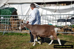 209.2023-09-03-Dorset-County-Show-Dorchester.-209-