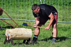259.2023-09-03-Dorset-County-Show-Dorchester.-259-