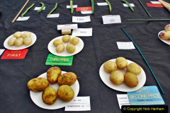 295.2023-09-03-Dorset-County-Show-Dorchester.-295-