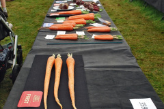 297.2023-09-03-Dorset-County-Show-Dorchester.-297-