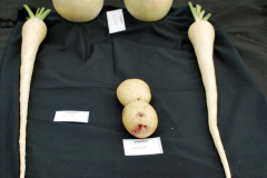 298.2023-09-03-Dorset-County-Show-Dorchester.-298-