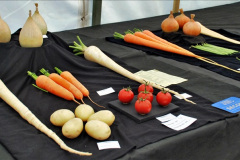 305.2023-09-03-Dorset-County-Show-Dorchester.-305-