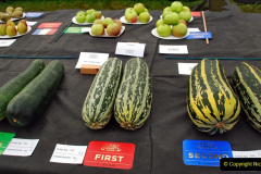 306.2023-09-03-Dorset-County-Show-Dorchester.-306-