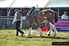 342.2023-09-03-Dorset-County-Show-Dorchester.-342-
