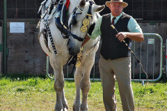 348.2023-09-03-Dorset-County-Show-Dorchester.-348-