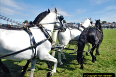 355.2023-09-03-Dorset-County-Show-Dorchester.-355-