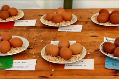401.2023-09-03-Dorset-County-Show-Dorchester.-401-