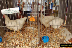 402.2023-09-03-Dorset-County-Show-Dorchester.-402-