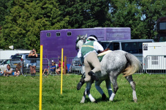 442.2023-09-03-Dorset-County-Show-Dorchester.-442-