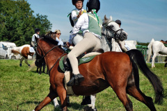 447.2023-09-03-Dorset-County-Show-Dorchester.-447-