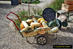 014.2023-09-07-Careys-Secret-Garden-Wareham-Dorset.-14-