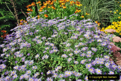 026.2023-09-07-Careys-Secret-Garden-Wareham-Dorset.-26-
