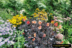 045.2023-09-07-Careys-Secret-Garden-Wareham-Dorset.-45-