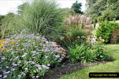 047.2023-09-07-Careys-Secret-Garden-Wareham-Dorset.-47-